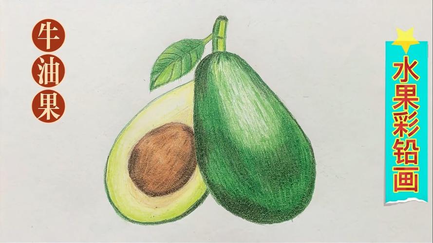 【一点资讯】水果彩铅画:绿色的牛油果 www.yidian.
