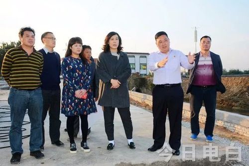 华翠带队到林头镇开展河长巡河行动