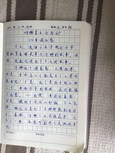六5 百字读书日记:《汤姆索亚历险记》二