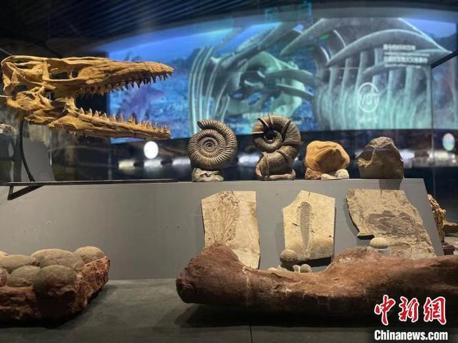 来自云南澄江古生物化石的"远古呼唤"