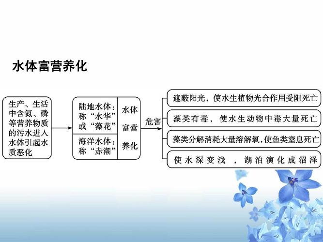 水体富营养化