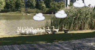 319_167gif 动态图 动图