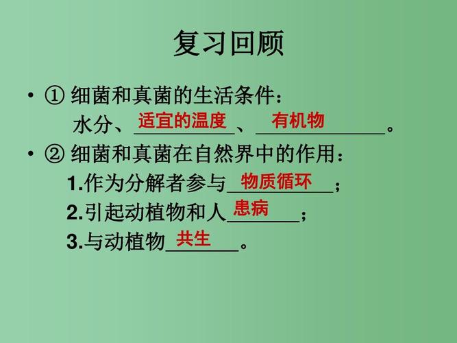 4 细菌和真菌在生物圈中的作用课件 (新版)新人教版ppt