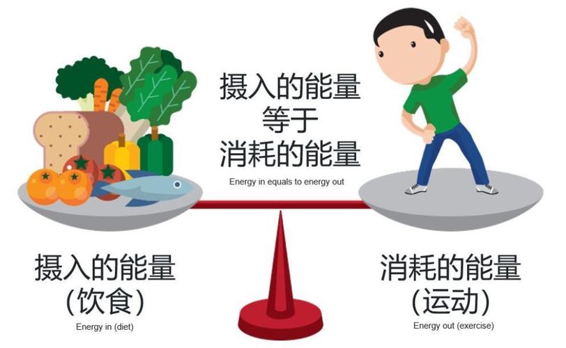 8 长期体重管理的十五个行为要点