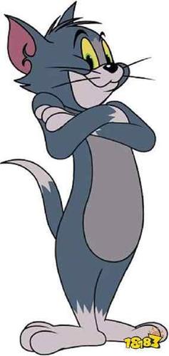 猫和老鼠卡通人物手抄报 手抄报图片大全集