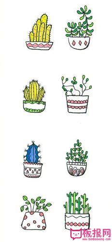 简单的植物简笔画大全,小清新植物盆栽