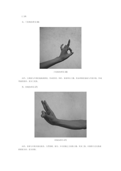 古典舞手形,手位与舞姿