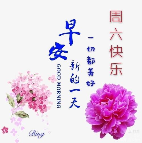 我的"问候花图集锦" - 美篇