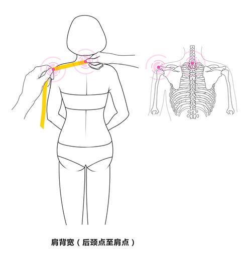 为他人测量身材调研