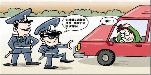 "警察"查车 上车抢劫(图)