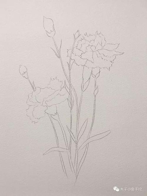 画一束花给母亲节|画康乃馨步骤