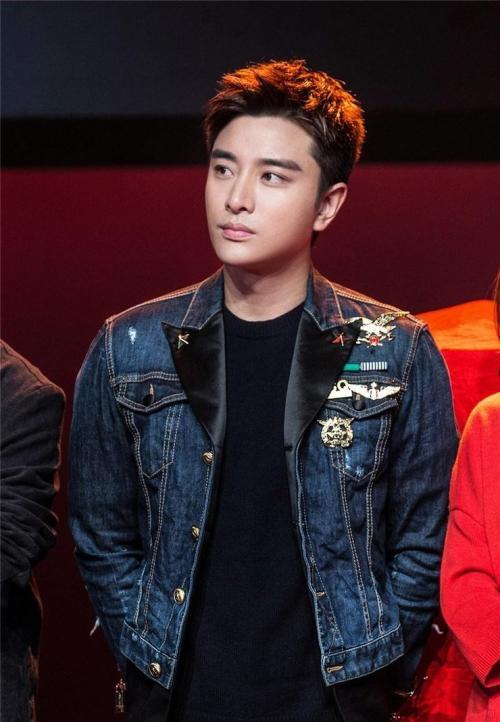 贾乃亮帅气图片大全