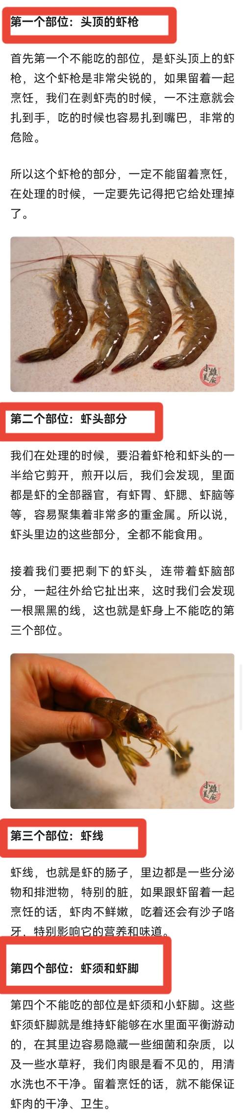 教学贴|大家注意,河虾这些地方不能吃