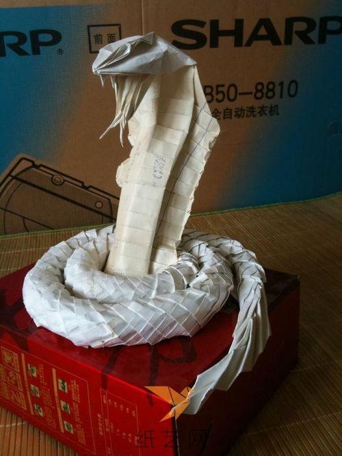 酷酷的冷血动物形象---折纸蛇
