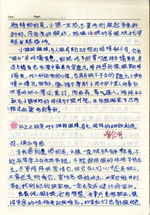 《小狼小狼》读书笔记精选