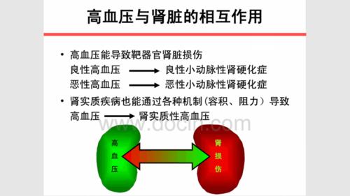 中国肾性高血压治疗的专家共识ppt课件