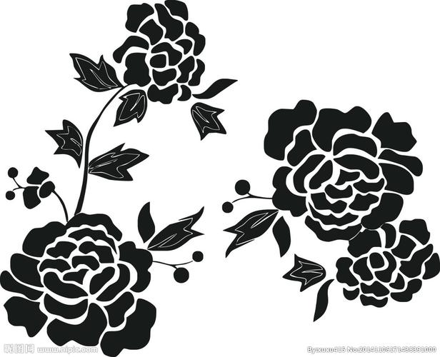 牡丹花简笔画图片