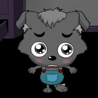 小灰灰可爱图片头像小灰灰可爱萌头像