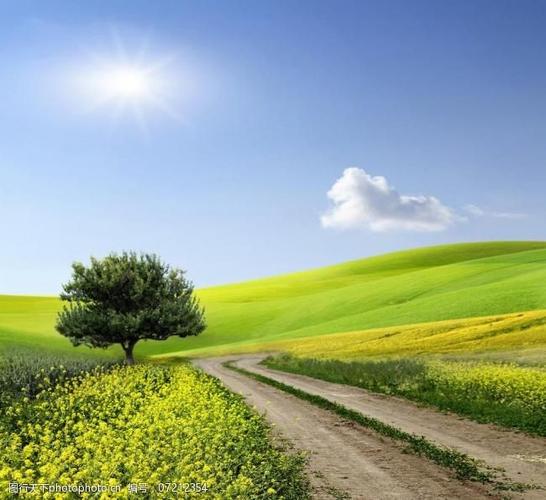 春天郊外风景图片