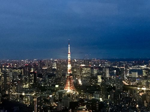 moriart museumtokyo city view 凝