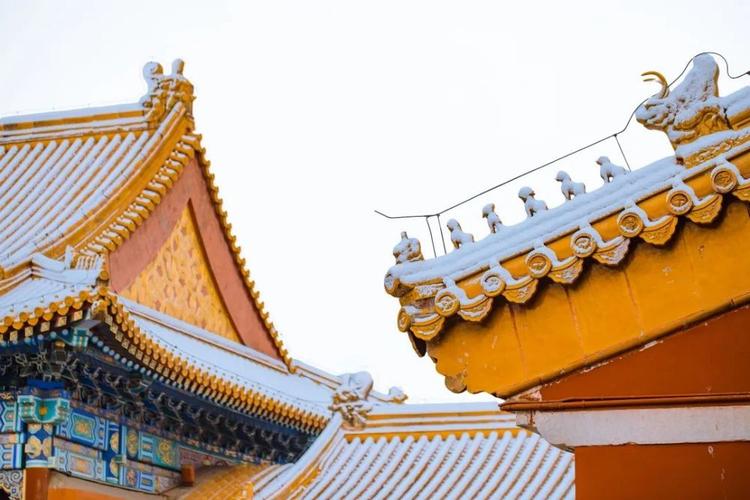 其次就是皇帝居住的乾清宫,用到九个,皇后的坤宁宫则是七个,其余嫔妃