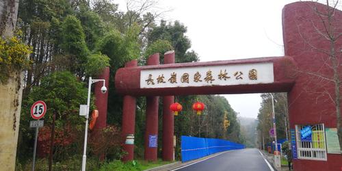 探秘"空中怪车"遗址,徒步都溪林场(长岭坡国家森林公园).