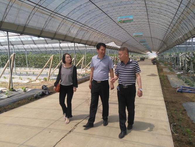 辽阳市局赴灯塔市实地调研