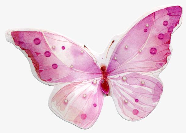 粉色蝴蝶