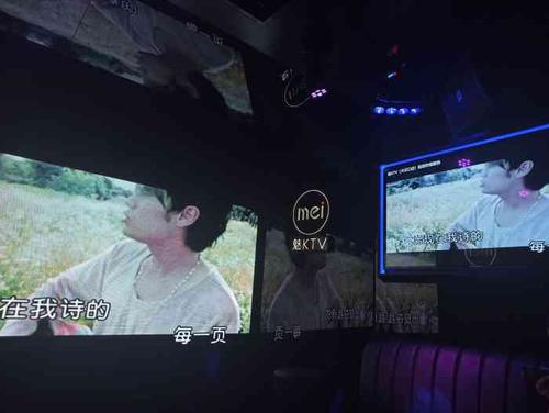 魅ktv(武汉大汉口店)