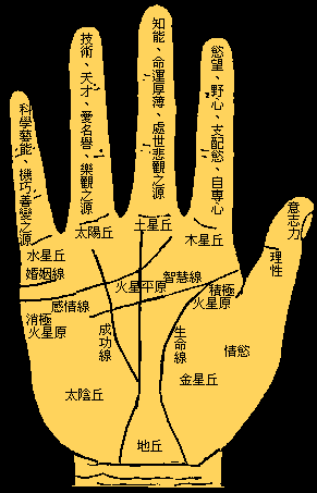 一,生命线,智慧线和感情线的长度呈现规则标准匀称状,纹理清晰色泽