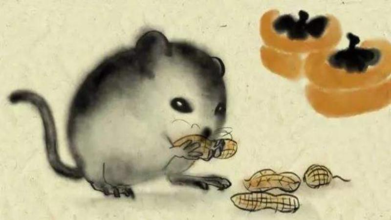 老鼠和羊配不配