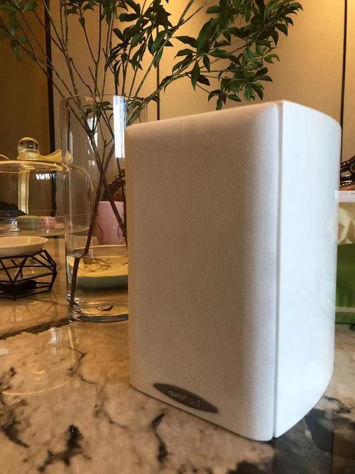606 落地箱搭配挂顶的中置quintas 601 base, 10" qube 10 超低音