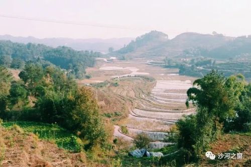 旅游 正文  上古村位于宜宾市高县沙河镇,这里常年云雾缭绕,或于山地