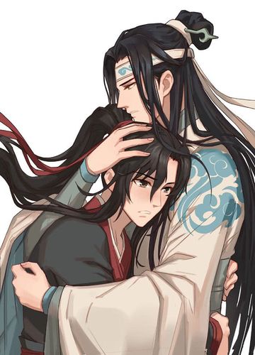 小说#动漫#魔道祖师#蓝忘机#魏无羡