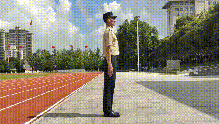 标准版单个军人队列动作来了