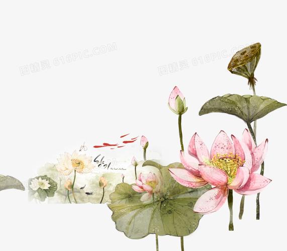 图精灵 免抠元素 装饰图案 > 荷花