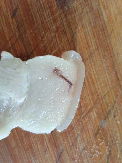 请问,这样的猪肉是患寄生虫了吗?