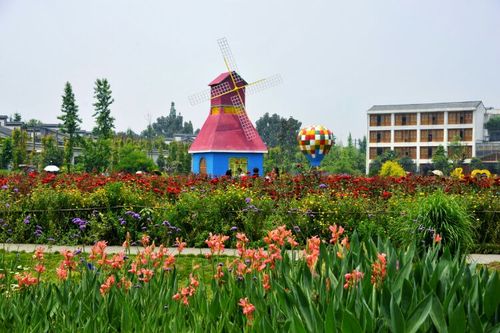 郫县唐昌镇战旗村薰衣草生态园