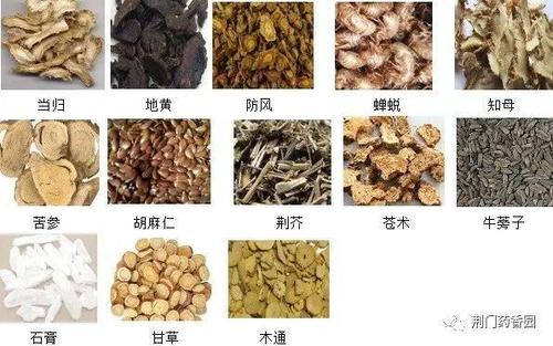 每周一方-消风散