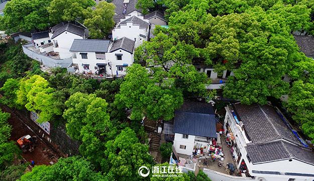 杭州馒头山上换新颜