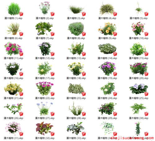 园林景观花草树木植物su模型素材库