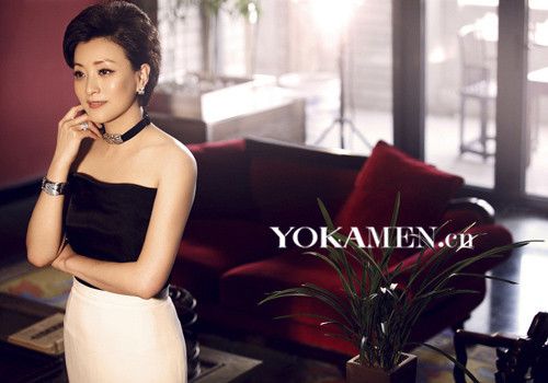 阳光媒体投资控股有限公司,lan澜珠宝 ,《杨澜访谈录》,《天下女人》