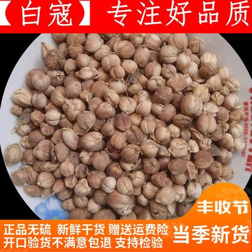 大全白寇白蔻仁白豆寇白扣白蔻无本色火锅烧肉500g豆蔻