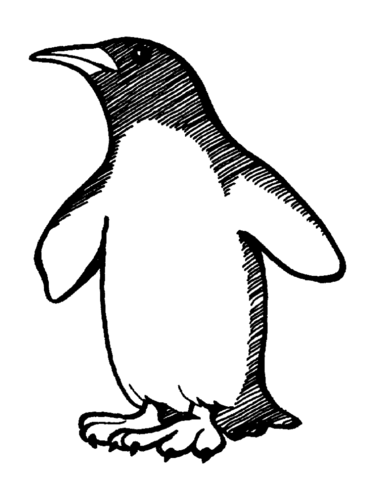 帝企鹅简笔画图片大全