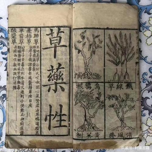 古籍《分类草药性》一部托神农名的医书