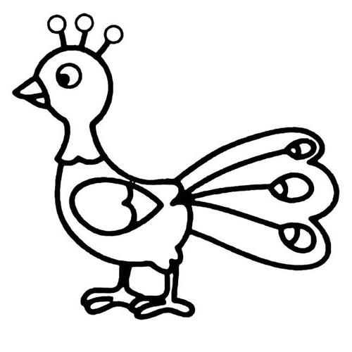 美丽的孔雀动物简笔画步骤图片大全