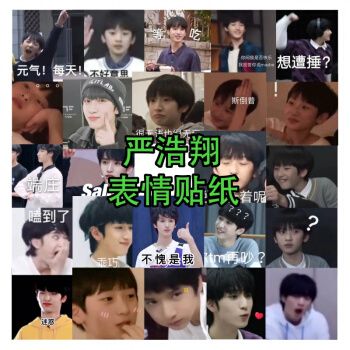 时代少年团贴纸表情包 时代少年团tnt表情包贴纸丁程鑫马嘉祺可爱贴纸