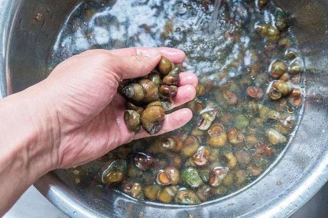 烔炀河老家往事——摸螺蛳|河蚌|鹁鸪|田螺|池塘_网易