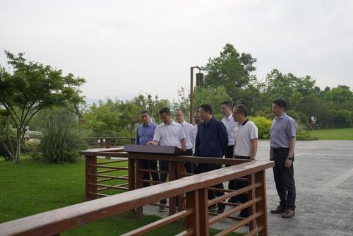 浙江省农发行领导调研温州生态园三垟湿地保护建设