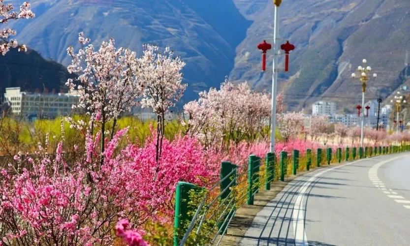 生态文明五无甘南 花开舟曲绿满山川-舟曲县人民政府